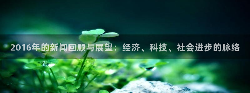 2016年的新闻回顾与展望：经济、科技、社会进步的脉络