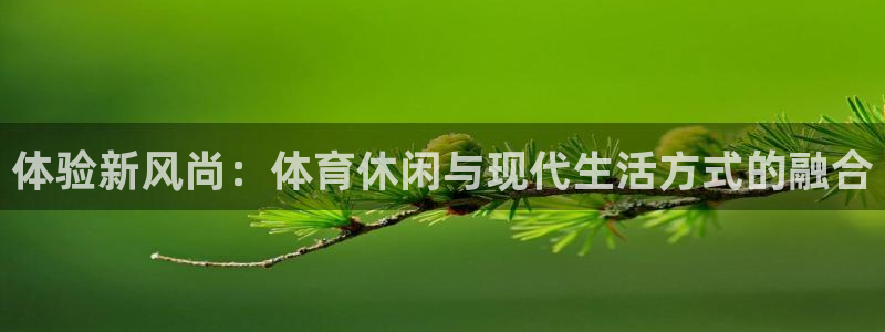 体验新风尚：体育休闲与现代生活方式的融合
