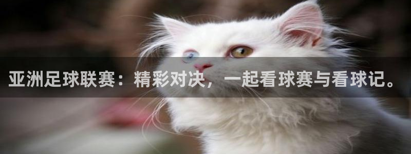 亚洲足球联赛：精彩对决，一起看球赛与看球记。