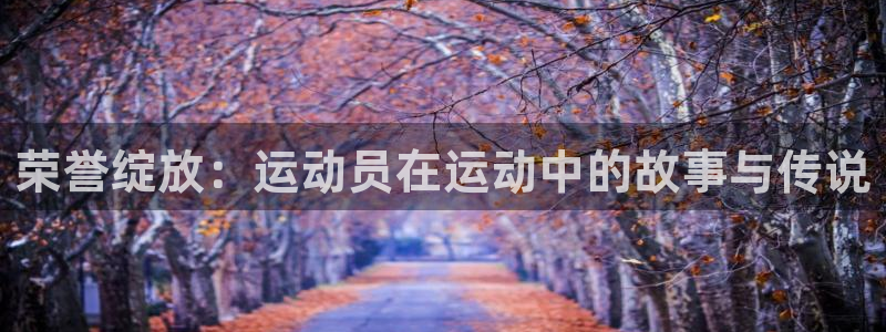 荣誉绽放：运动员在运动中的故事与传说
