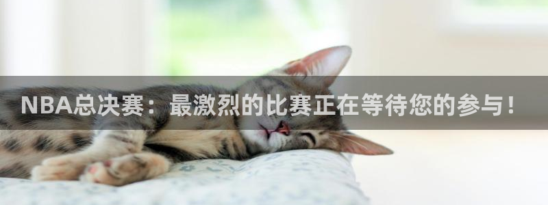 NBA总决赛：最激烈的比赛正在等待您的参与！