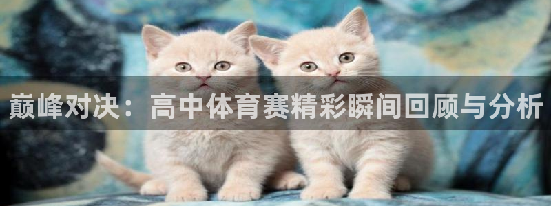 巅峰对决：高中体育赛精彩瞬间回顾与分析